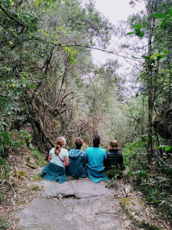 3 women sitting on brown dirt road between green trees during daytime